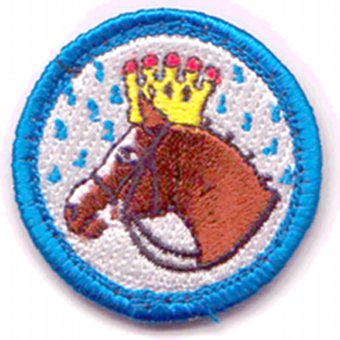 Illustration for article titled The 11 Best Online Merit Badges